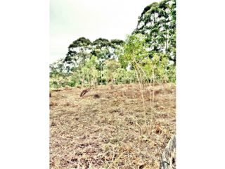 Foto 3 de LOTE EN VEREDA LOS PINOS