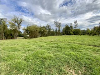 Lote Parcelacion Llanogrande Sector La Amalita