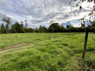 Lote Parcelacion Llanogrande Sector La Amalita