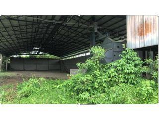Foto 12 de El Empalme, Carlos Julio Arrosemena, Terreno, 10000, galpón de 1000 m2