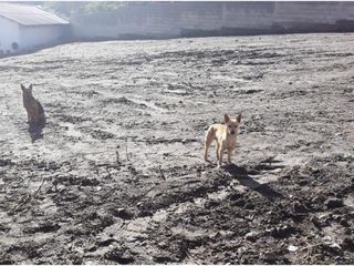 Foto 5 de Tumbaco, Terreno en renta, 600 m2, cos 100, frente 15 m