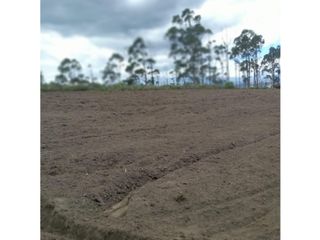 Foto 2 de Cochasqui, Terreno en venta, 614.300 m2, cos total 60, frente 465 m