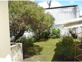 Foto 14 de La Floresta, Casa en Renta, 680m2, 3 habitaciones, 3 baños