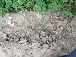 Foto 11 de Tumbaco, Terreno en Renta, 2000m2, Cos10% frente 20m
