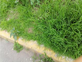 Foto 2 de Tumbaco, Terreno en Renta, 2000m2, Cos10% frente 20m