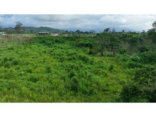 Foto 8 de Santo Domingo, Terreno en  Venta, 2,8 Hectáreas.
