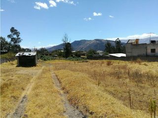 Foto 1 de Tumbaco, Terreno en  Renta, 500m2.