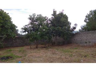 Foto 11 de Tumbaco, Terreno en  Renta, 500m2.