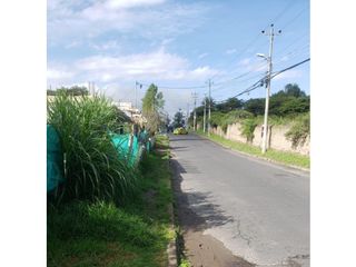 Foto 4 de Tumbaco, Terreno en  Rentan 600m2.