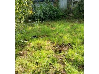 Foto 10 de Tumbaco, Terreno en  Rentan 600m2.