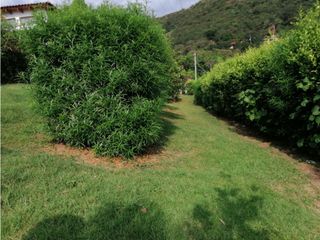Foto 15 de VENDO CASA FINCA CON PISCINA LOTE 5.500M2 - ANAPOIMA LAS MERCEDES