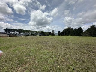 Foto 5 de Venta de Lote en Envigado Alto de las Palmas