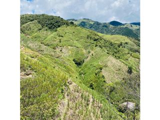 Se vende finca de 30 hectáreas en Gómez Plata