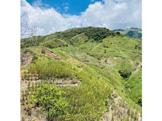 Se vende finca de 30 hectáreas en Gómez Plata