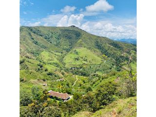 Se vende finca de 30 hectáreas en Gómez Plata