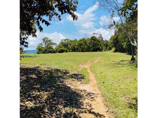 Se vende finca de 30 hectáreas en Gómez Plata