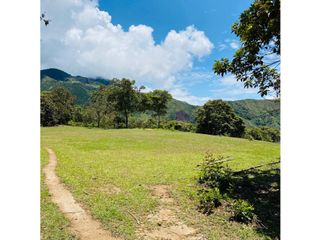 Se vende finca de 30 hectáreas en Gómez Plata