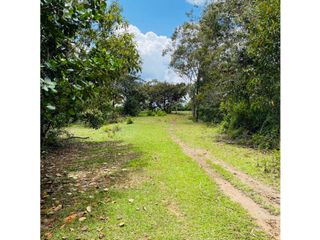 Se vende finca de 30 hectáreas en Gómez Plata