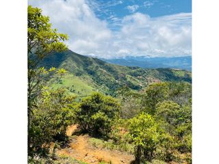 Se vende finca de 30 hectáreas en Gómez Plata