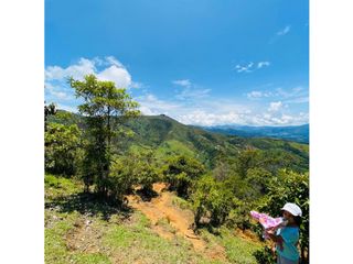 Se vende finca de 30 hectáreas en Gómez Plata