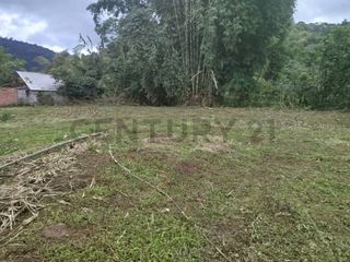 Foto 4 de se vende Terreo en Mindo