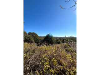 Foto 8 de VENTA-LOTE 280M2-VILLA ANIMI-LA GRANJA