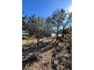 Foto 4 de VENTA-LOTE 280M2-VILLA ANIMI-LA GRANJA