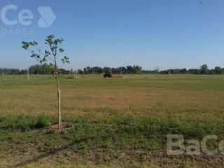 Foto 1 de Terreno en  CARCARAÑA