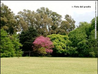 Foto 3 de Terreno en venta - 645Mts2 - La Estela, Pilar