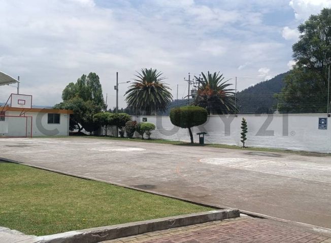 place photo 33