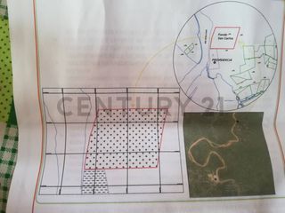 Foto 7 de 100 HECTAREAS EN VENTA YURIMAGUAS OPORTUNIDAD DE INVERSION UNICA