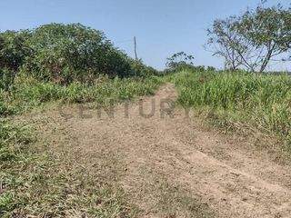 Foto 3 de 100 HECTAREAS EN VENTA YURIMAGUAS OPORTUNIDAD DE INVERSION UNICA
