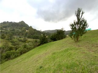 Lote Parcelacion Via Don Diego La Ceja