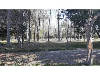 Foto 19 de Lote en Venta - Country Club de Campo Maipú