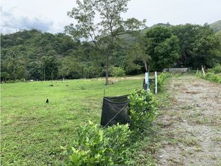 Foto 3 de LOTES DE TERRENO PARA FINCA EN SANTA FE DE ANTIOQUIA V. CHORQUINA