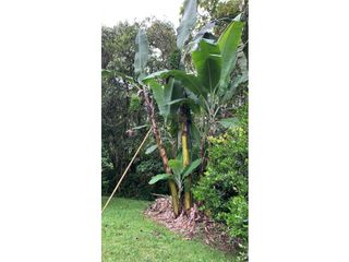 Foto 19 de CASA CAMPESTRE EN VENTA , SAN FRANCISCO CUNDINAMARCA