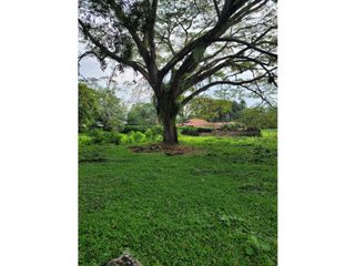 Foto 4 de VENTA DE LOTE SECTOR PANCE  CALI