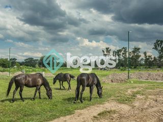 Foto 5 de Terrenos / Lotes en venta Urbanización RECODO ETAPA 2, zona Aeropuerto, Salta