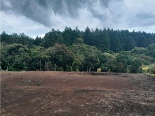 Foto 10 de BROKER_VENTA DE LOTE EN PARCELACION CIUDAD VERDE EN POPAYAN