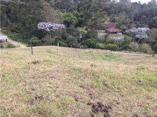 Lote en venta en Rionegro vereda Varahonda