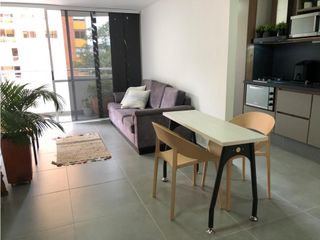 Foto 4 de APARTAESTUDIO EN ARRIENDO SECTOR LOS BALSOS