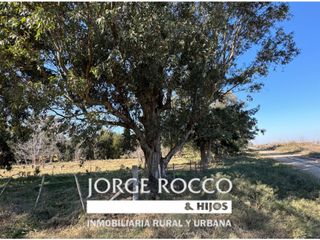 Foto 1 de Lote en venta en Barrio La Parada - Brandsen