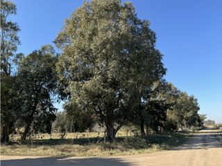 Foto 9 de Lote en venta en Barrio La Parada - Brandsen