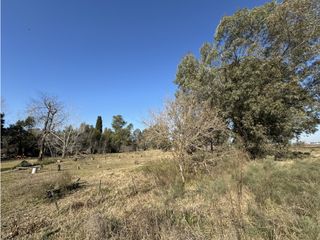 Foto 7 de Lote en venta en Barrio La Parada - Brandsen