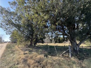 Foto 3 de Lote en venta en Barrio La Parada - Brandsen