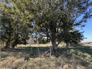 Foto 8 de Lote en venta en Barrio La Parada - Brandsen