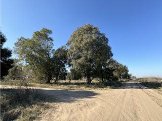 Foto 5 de Lote en venta en Barrio La Parada - Brandsen