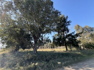 Foto 6 de Lote en venta en Barrio La Parada - Brandsen