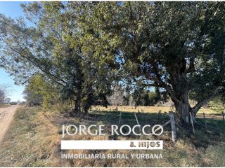 Foto 2 de Lote en venta en Barrio La Parada - Brandsen