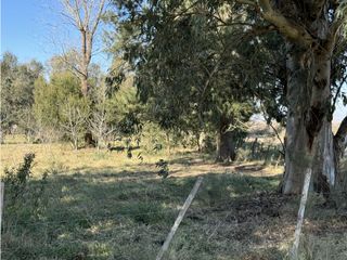 Foto 4 de Lote en venta en Barrio La Parada - Brandsen